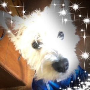 Meet your Posher, Lynn